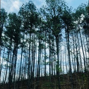 Meet your Posher, Covyn